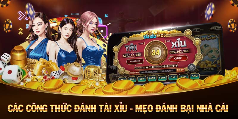 trực tiếp kết quả xổ số miền bắc V8club